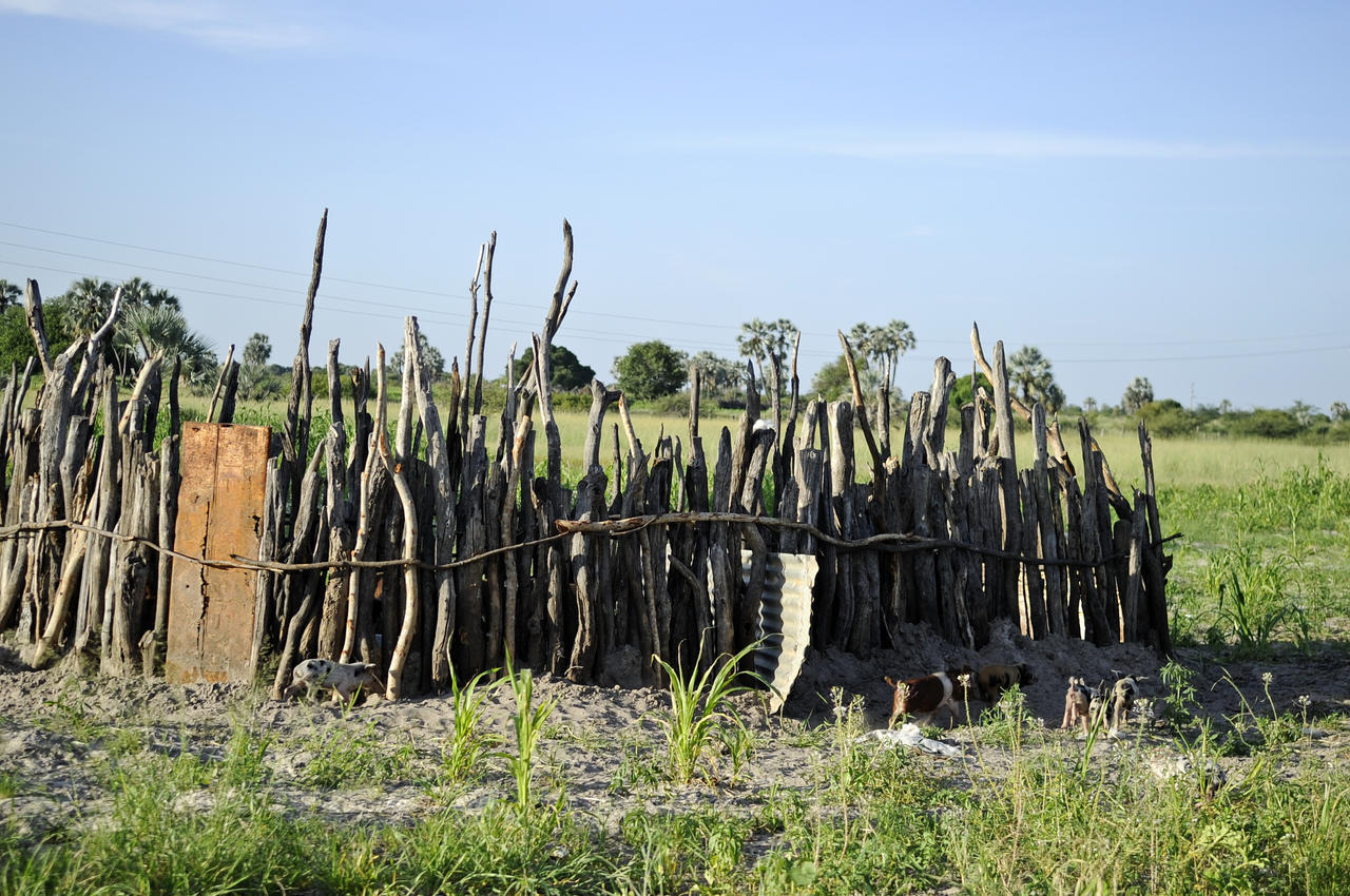 Ongula Village Homestead Lodge Omupumba Bagian luar foto